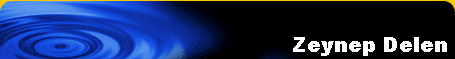 Zeynep Delen